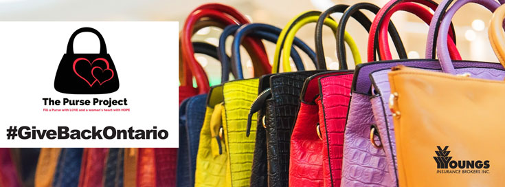 Buy Dhara Project Women's Finland Style Handbag, Designer Ladies Purse with  Golden Chrome Elevation & Big Hanging Shoulder Belt(Brown) at Amazon.in